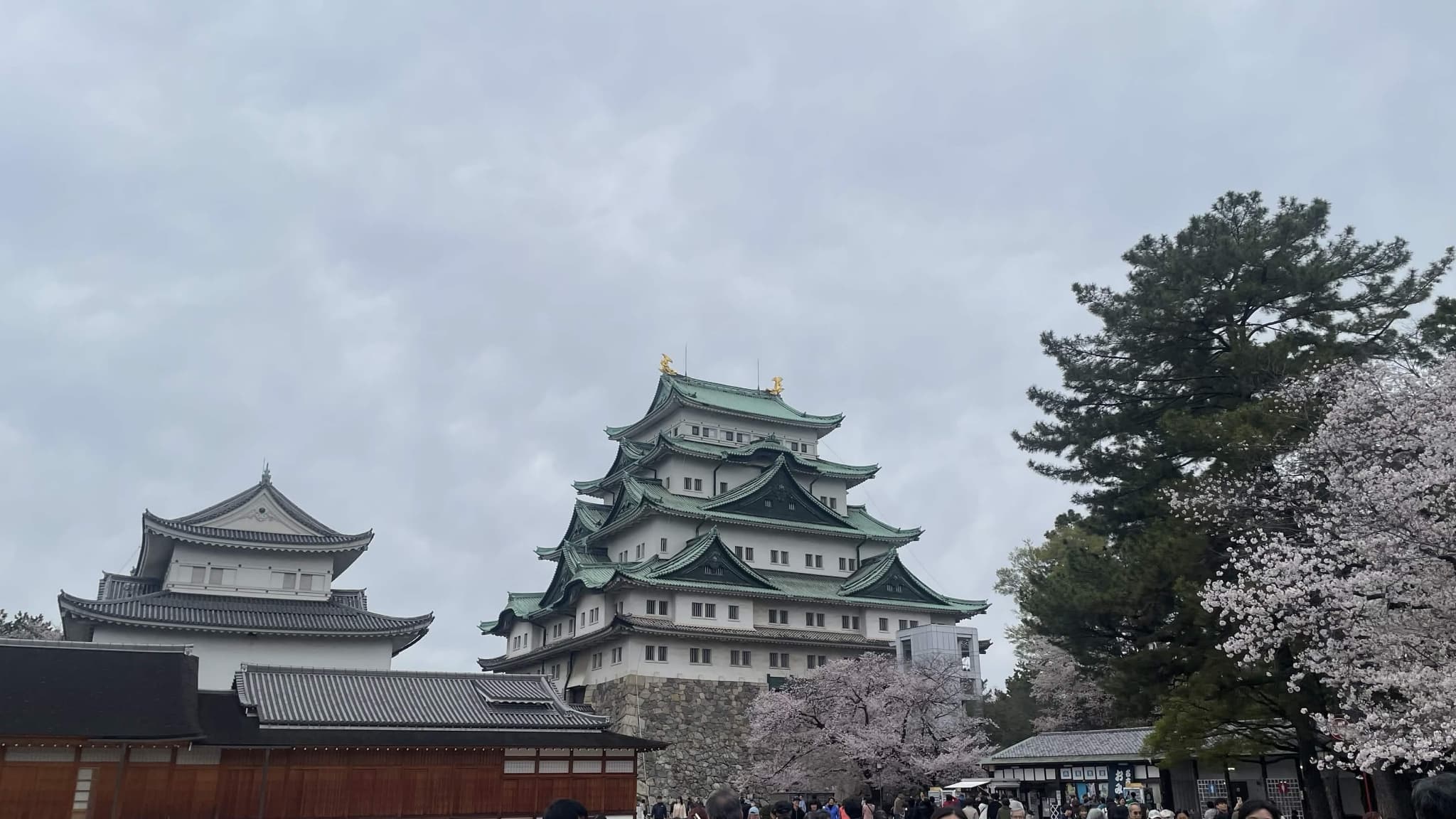 愛知